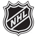 The Florida Panthers logo